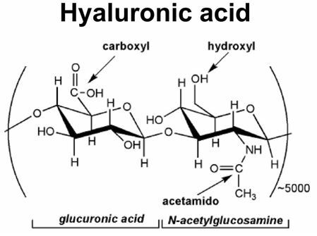 hyaluronic-acid.jpg
