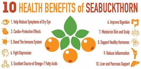 SeaBuckthorn Benefits.jfif
