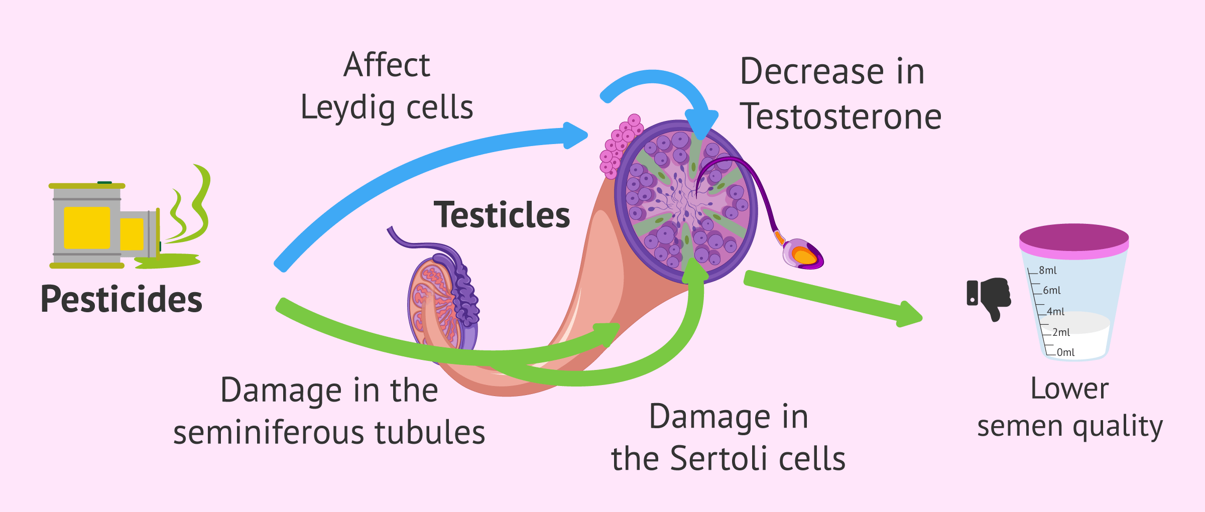 effects-of-pesticides-on-male-fertility.png