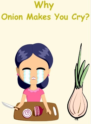 Onion analogy image.jpg